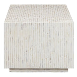 Daryl Shell Coffee Table