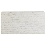 Daryl Shell Coffee Table