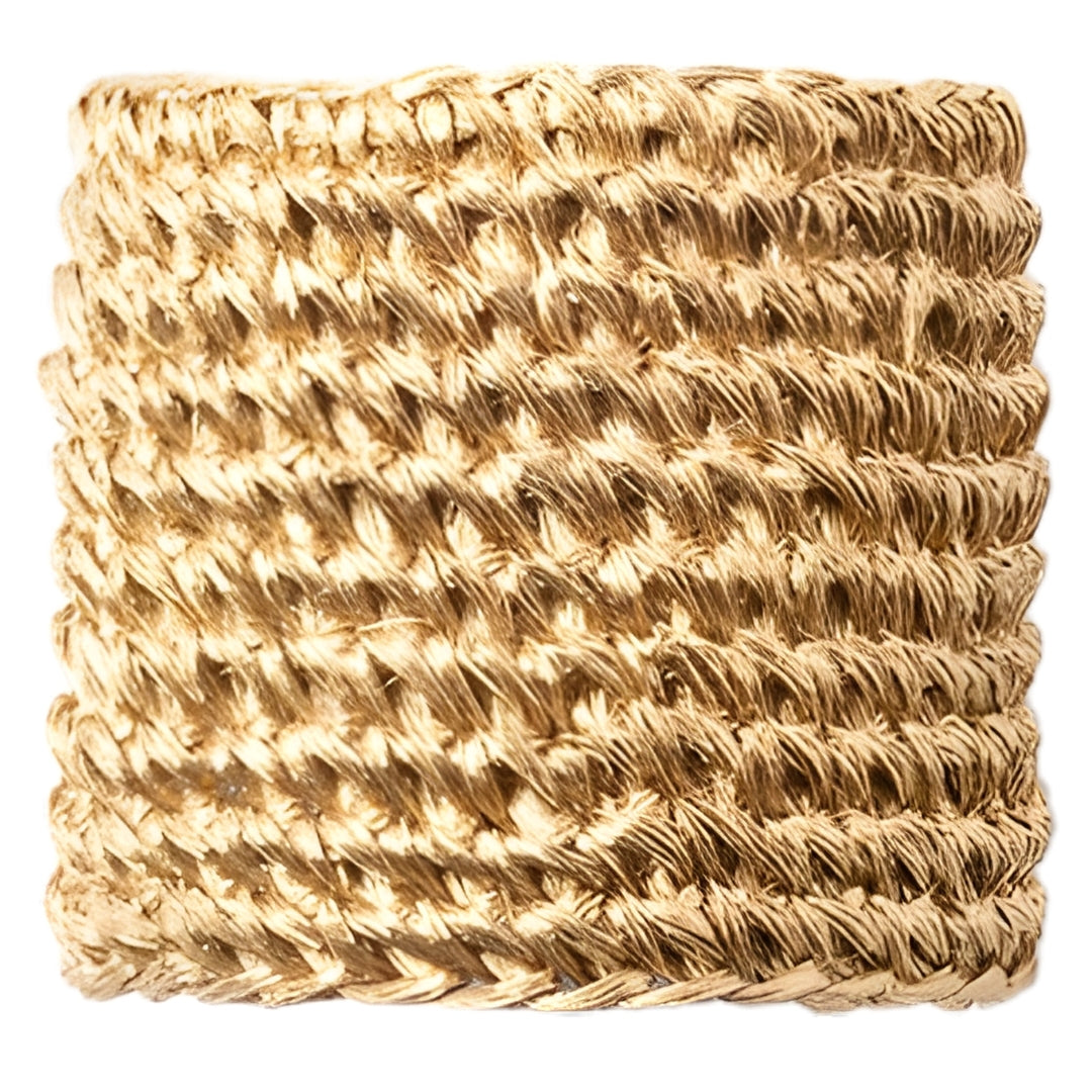 Emmy Gold Napkin Ring (Pack of 4)