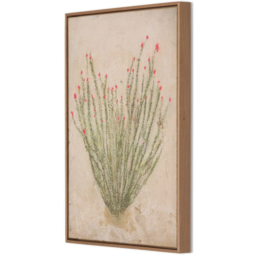 Ocotillo by Paul Meyer