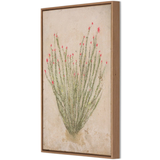 Ocotillo by Paul Meyer