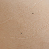 Yoko Nesting (Set of 3)