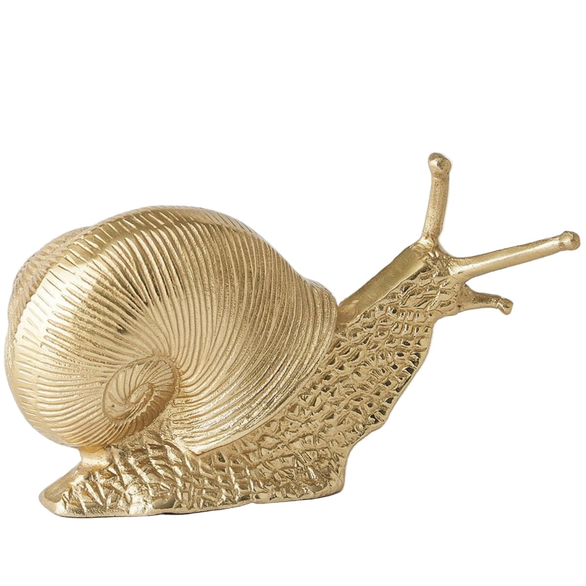 Snail Sculpture