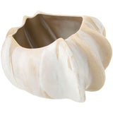 Yucca Vase Vases + Urns 791877
