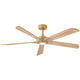Layton Indoor/Outdoor LED Smart Fan Ceiling Fans 907358FHB-LDD 640665919486