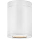 Silo Outdoor Flush Mount Outdoor Ceiling Lighting 13592SW-LL 640665136043