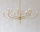 Labra 12-Light Chandelier Chandeliers