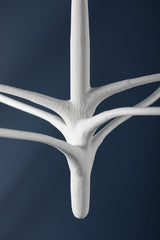 Labra 6-Light Chandelier Chandeliers