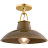 Pottersville Flush Mount Pendants 1928-DB/CIC