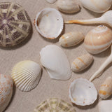Miramar Wall Art Wall Art 8MIRA-WAPI 688933043822