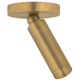 Luxe Pivot Flush Mount