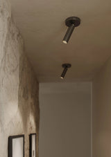 Luxe Pivot Flush Mount