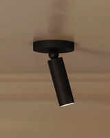 Luxe Pivot Flush Mount