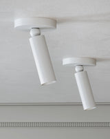 Luxe Pivot Flush Mount