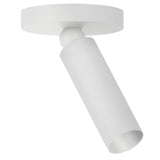 Luxe Pivot Flush Mount