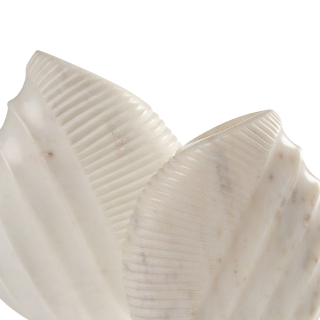 Alomar Vase (Set of 2)