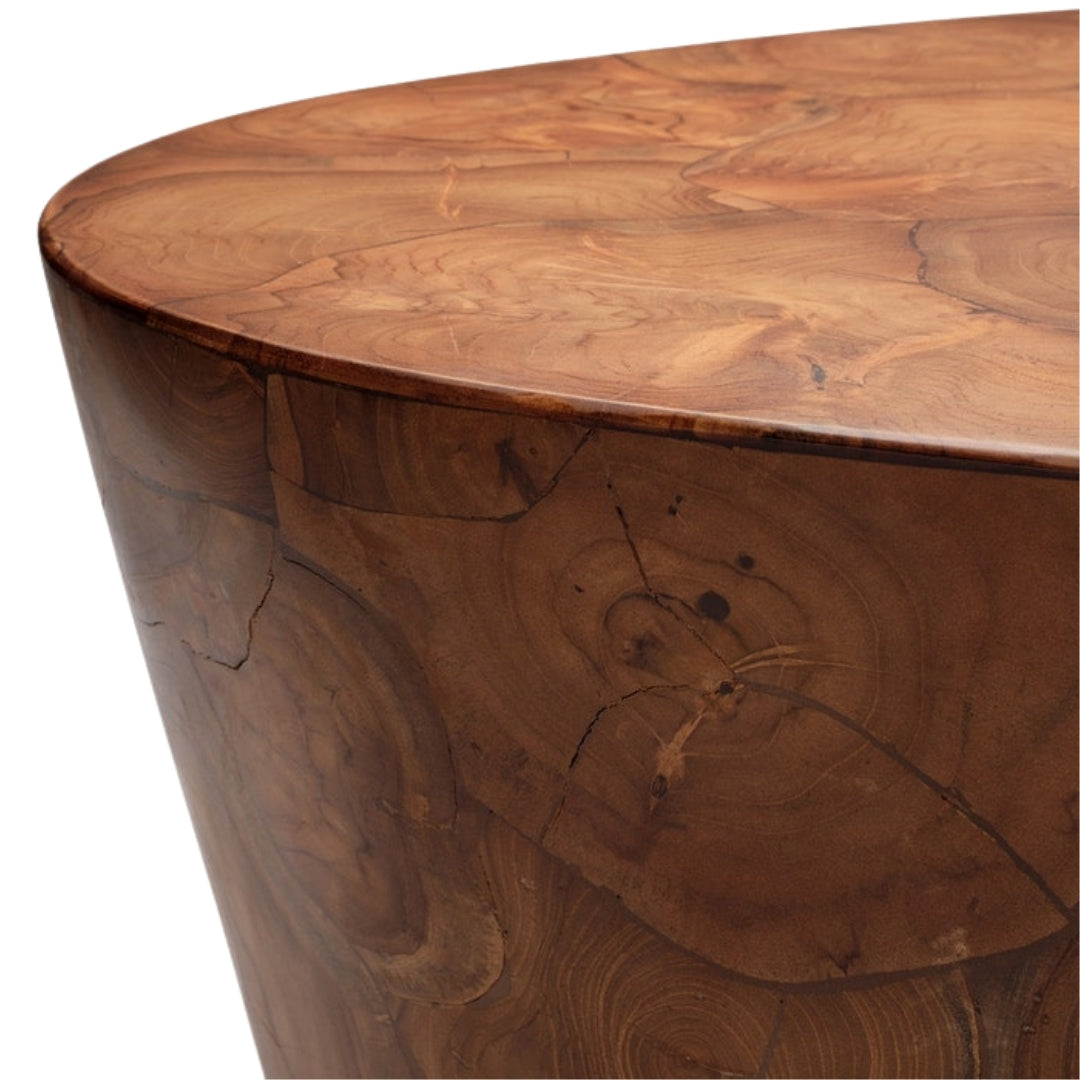 Odilia Indoor/Outdoor Coffee Table