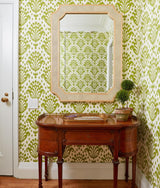 James Mirror Arch + Curve Mirrors