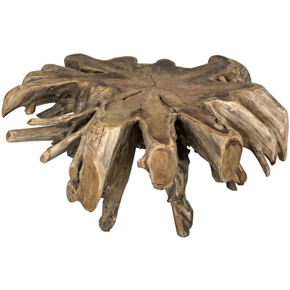 Teak Root Coffee Table Coffee Tables TEAK101 00842449112926