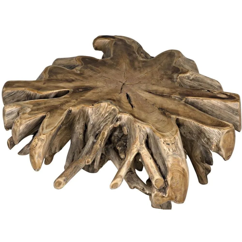 Teak Root Coffee Table Coffee Tables TEAK101 00842449112926