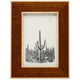 Medford Frame Picture Frames 02MEDF-CHNIV-4X6