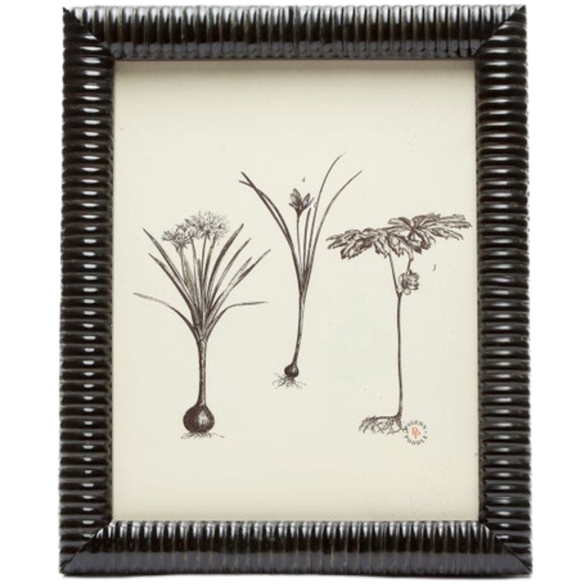 Metz Frame Picture Frames 02METZ-BKHN-8X10