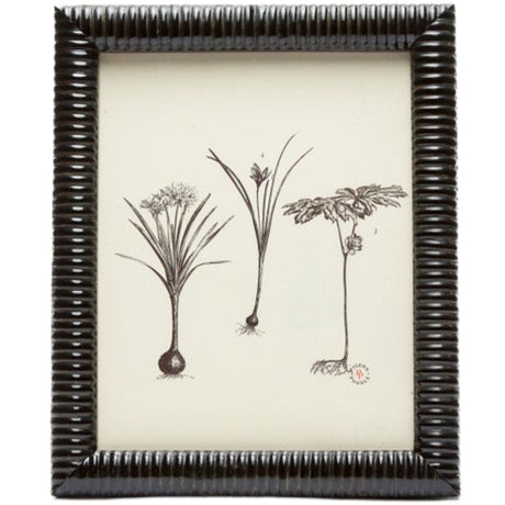 Metz Frame Picture Frames 02METZ-BKHN-8X10