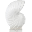 Nautilus Shell Sculptural Objects 20-1699WT