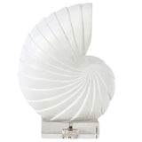 Nautilus Shell Sculptural Objects 20-1698WT