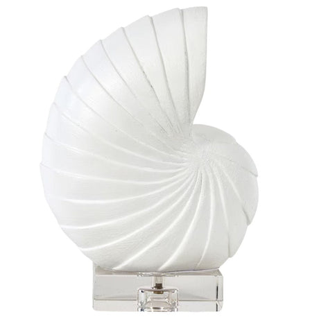 Nautilus Shell Sculptural Objects 20-1698WT