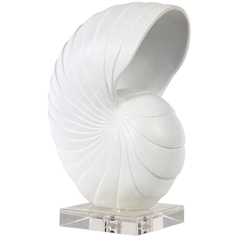Nautilus Shell Sculptural Objects