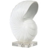 Nautilus Shell Sculptural Objects