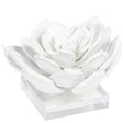 Succulent Sculpture Sculptural Objects 20-1483