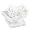Succulent Sculpture Sculptural Objects 20-1483