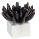 Succulent Sculpture Sculptural Objects 20-1484BLKZ