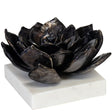 Succulent Sculpture Sculptural Objects 20-1483BLKZ