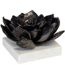 Succulent Sculpture Sculptural Objects 20-1483BLKZ