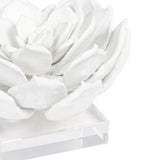 Succulent Sculpture Sculptural Objects