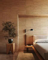 Ray Plug-in Sconce Sconces