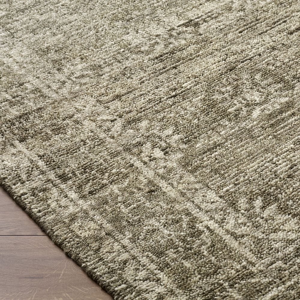 Alara Rug Area Rugs