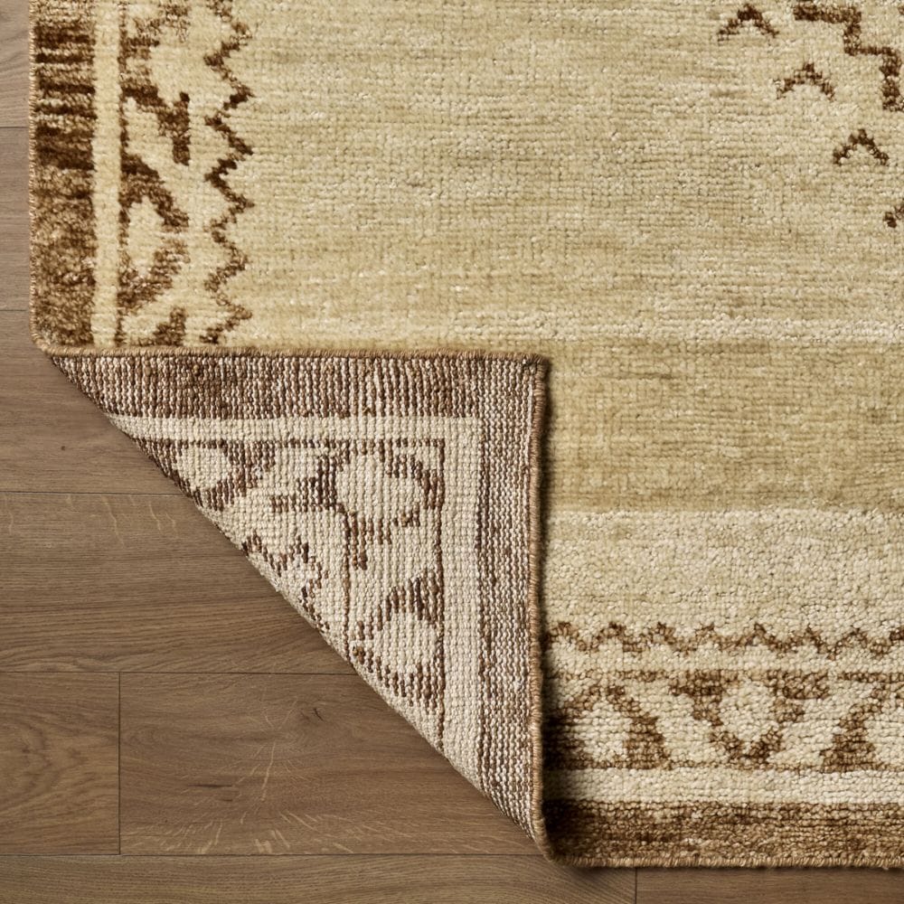 Alara Rug Area Rugs