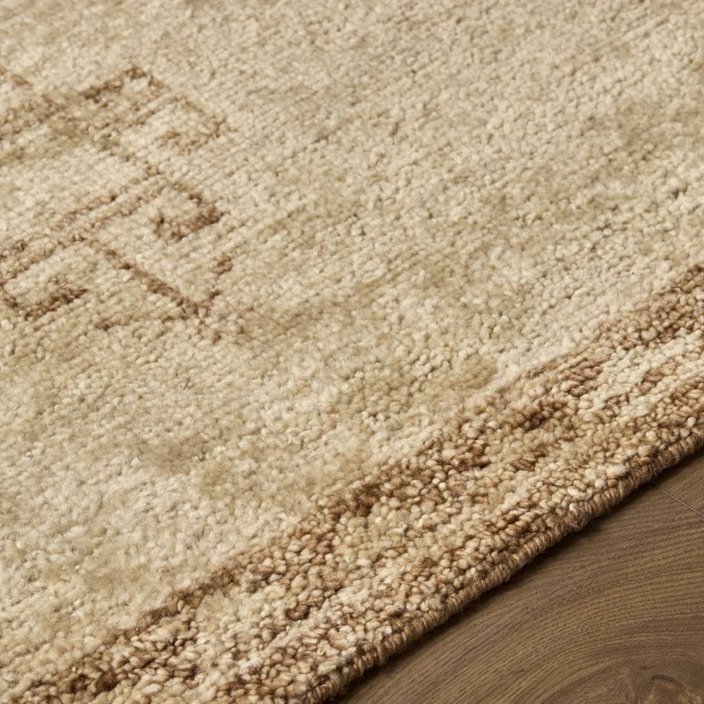 Alara Rug Area Rugs