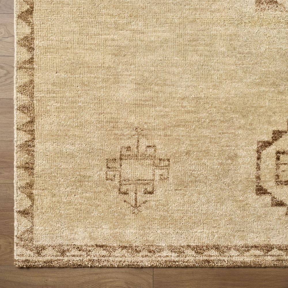 Alara Rug Area Rugs