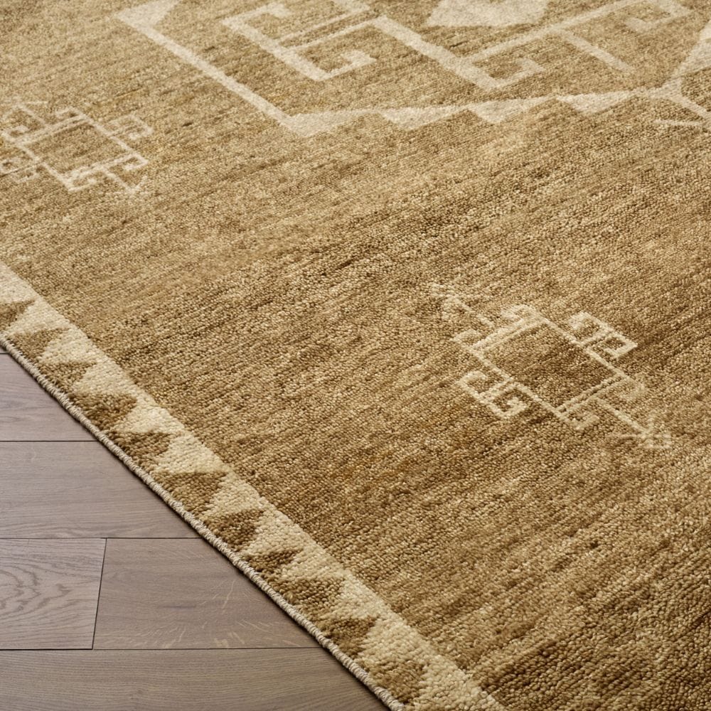 Alara Rug Area Rugs
