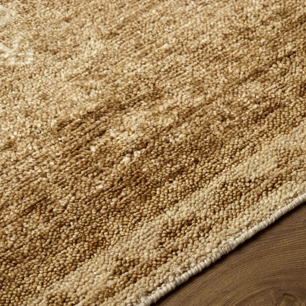Alara Rug Area Rugs