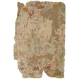 Kyoto Rug Area Rugs KYT2300-23 198994257156