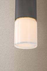Osprey Outdoor Wall Sconce