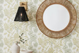 Sonoma Wall Sconce Sconces
