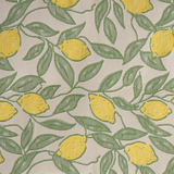 Nima Outdoor Lounge Chair