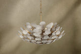 Aimi Chandelier Chandeliers